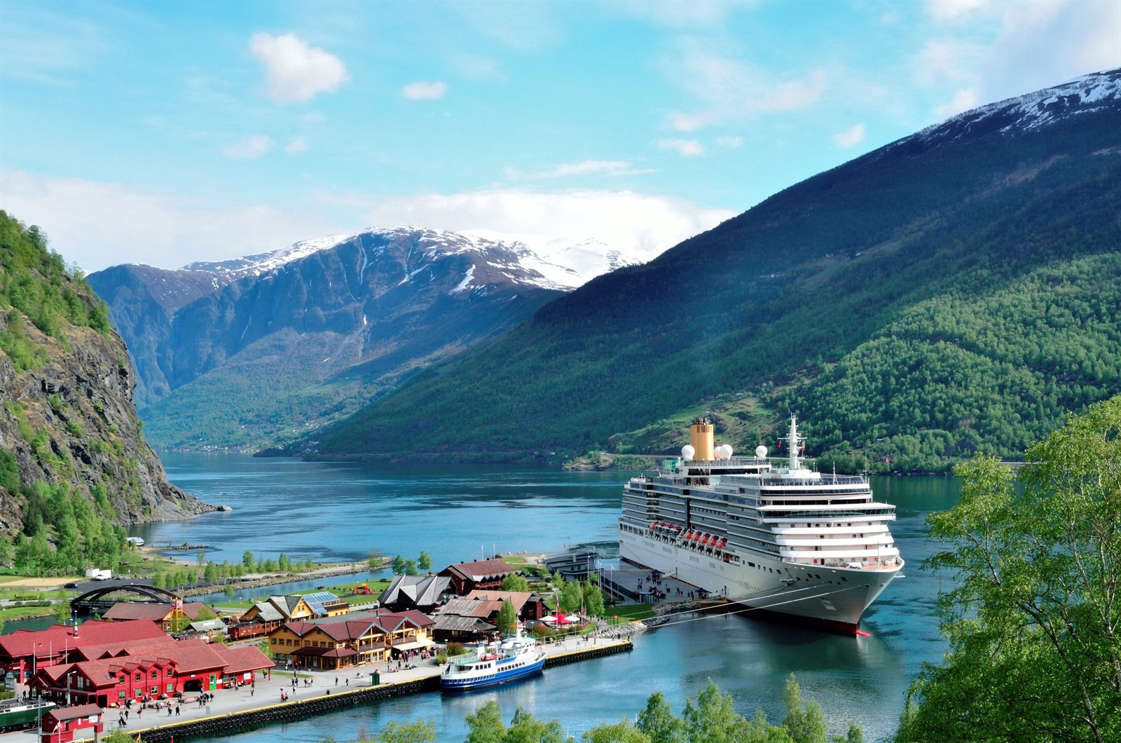 Cruise ship docked at a village at the head of a green Norwegian fjord