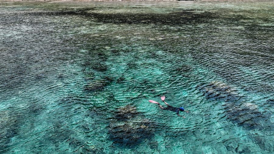 Snorkeler over a coral reef